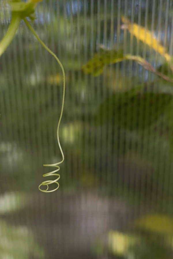 How Can Real Estate Investment Trusts (REITs) Adapt to the Shift Towards Green Buildings in the UK?