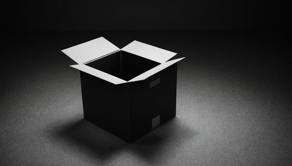 Unraveling secrets: exploring the enigma of the black box